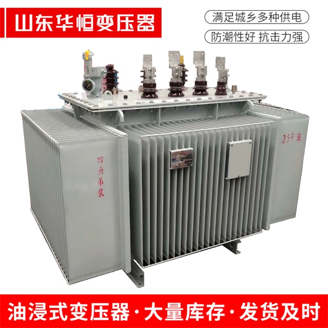 S13-10000/35上蔡上蔡上蔡电力变压器厂家