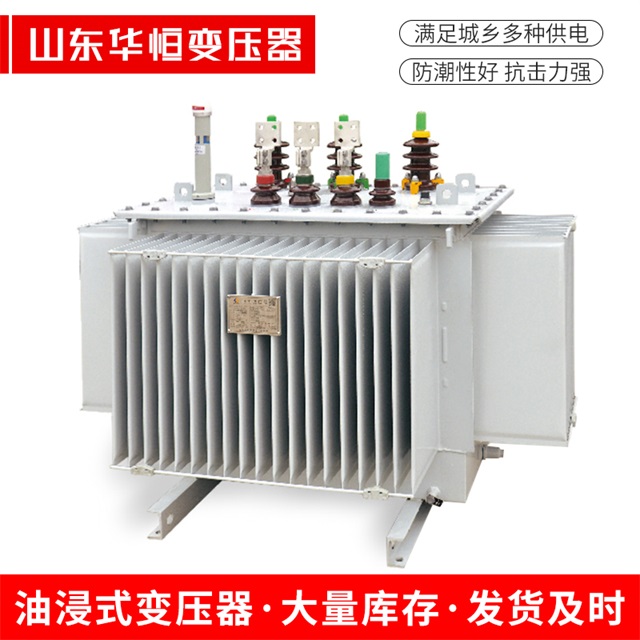 S13-10000/35上蔡上蔡上蔡电力变压器