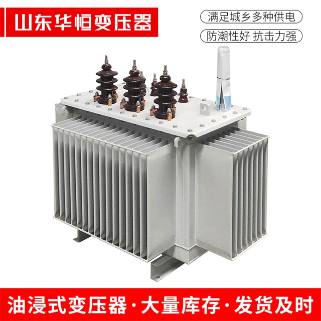 S13-10000/35上蔡上蔡上蔡油浸式变压器厂家